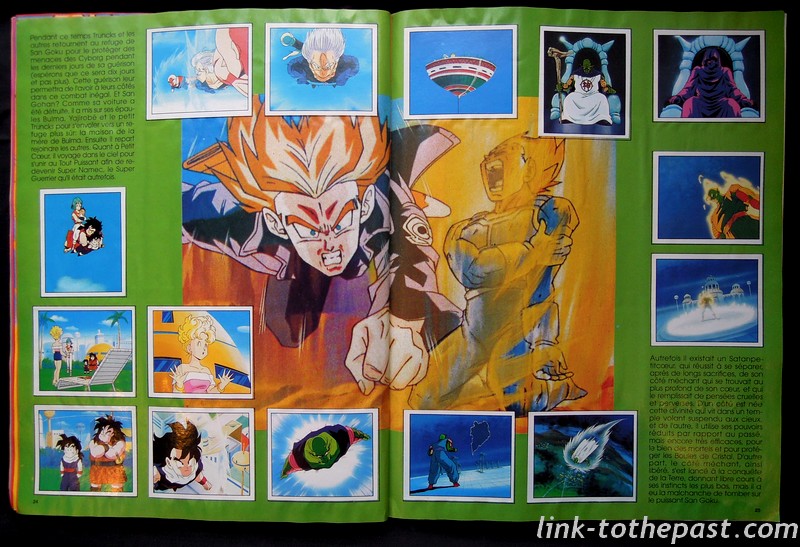 Le Premier Album Panini  fran ais de Dragon Ball  Z 